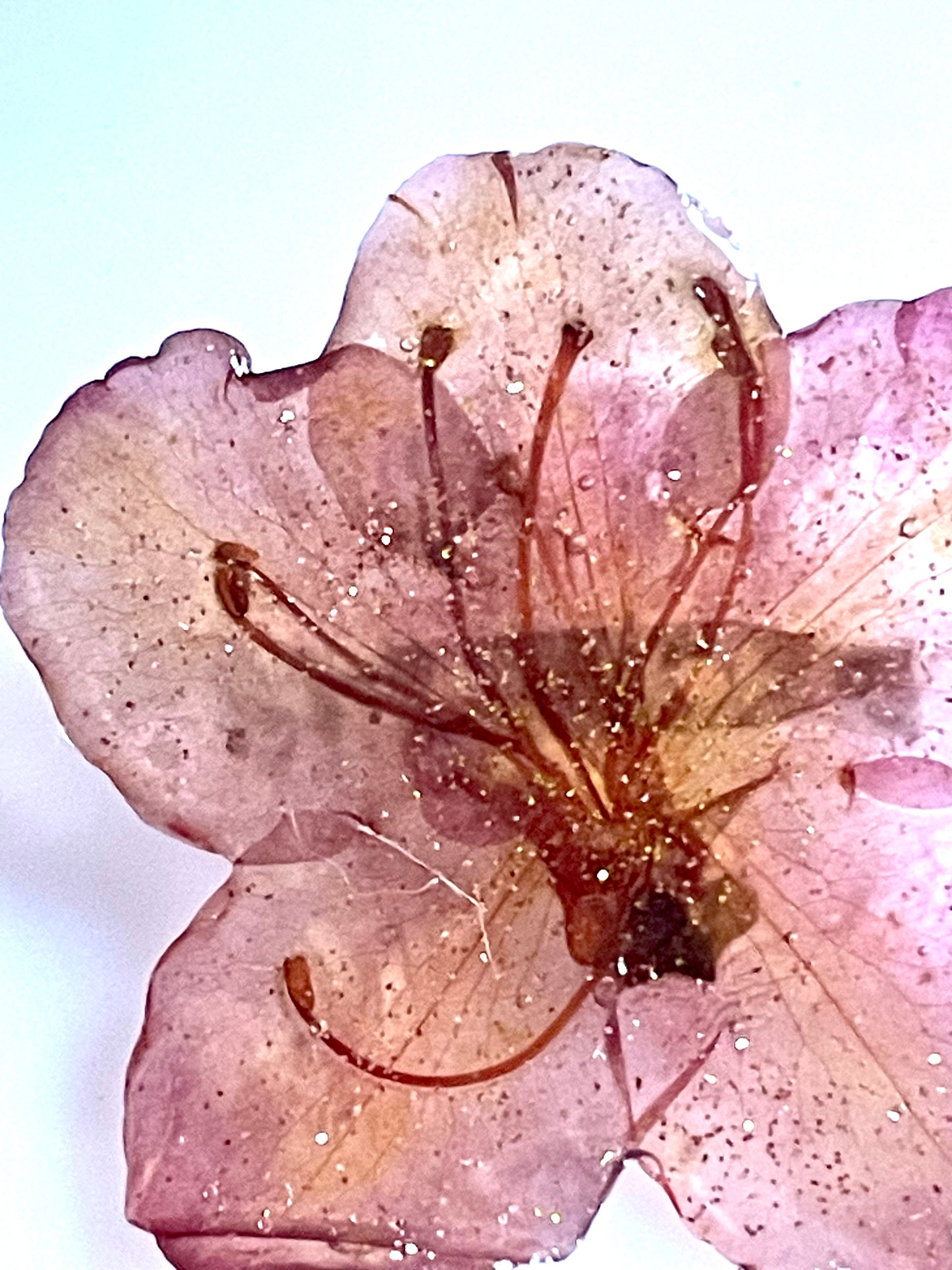 Broche fleur de Rhododendron