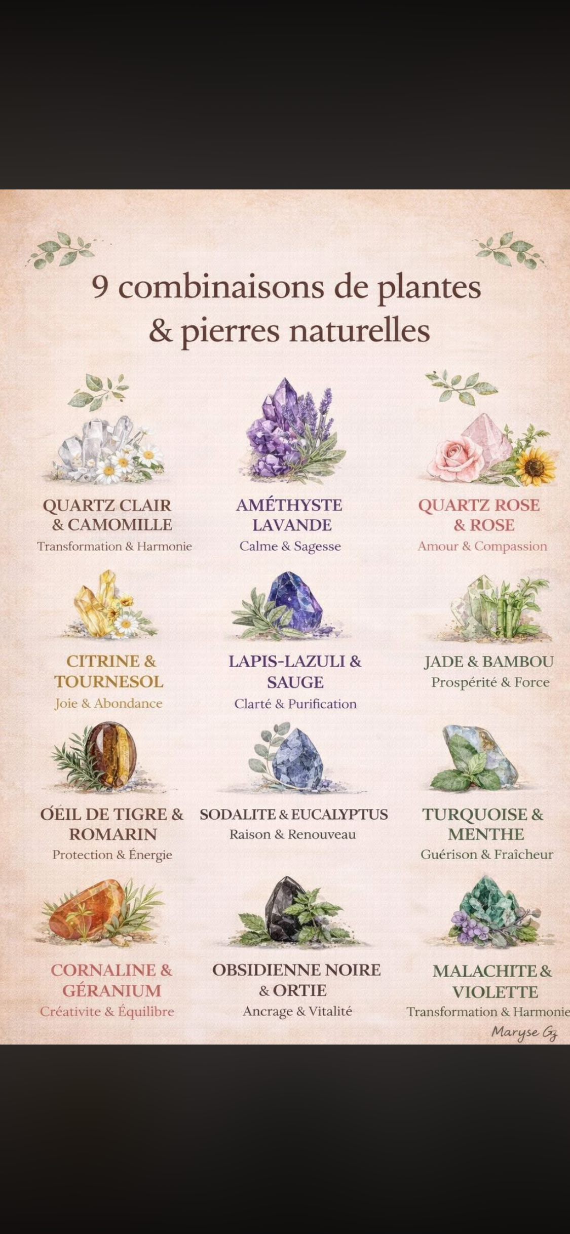 Nouvelle collection de Pierres et fleurs naturelles
