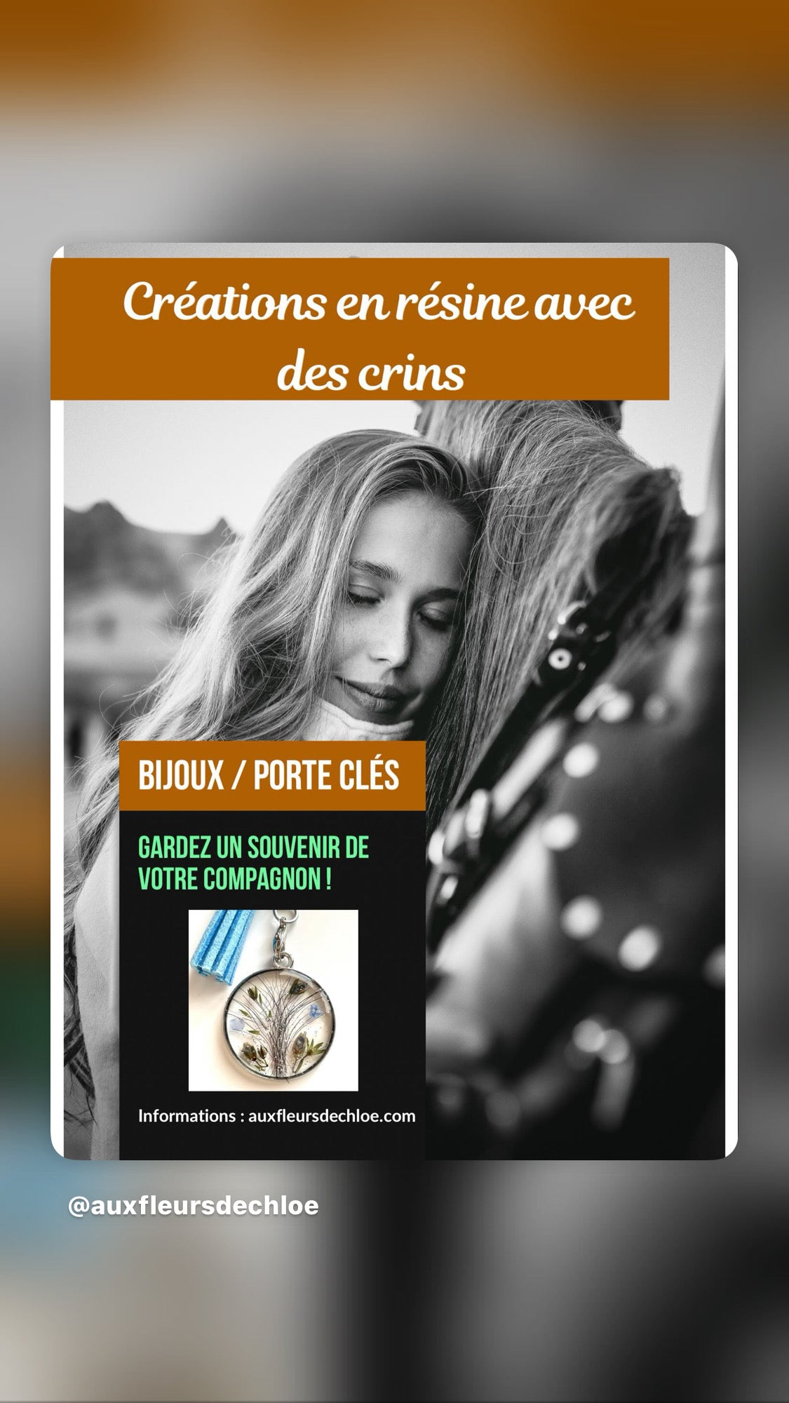 Bijoux et porte-clés mémoriels personnalisés en résine avec crins de cheval , poils d’animaux