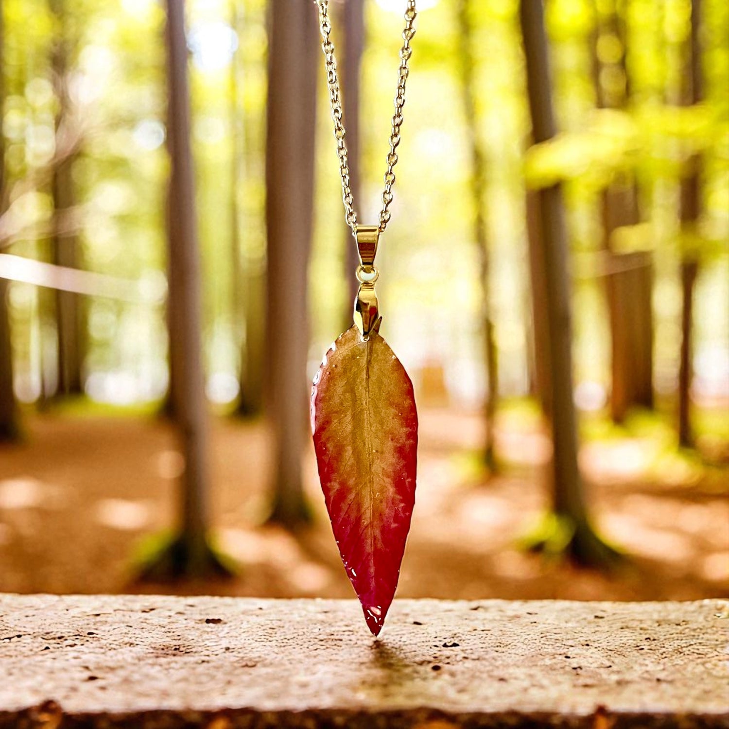 Collection Automne 🍂🍁