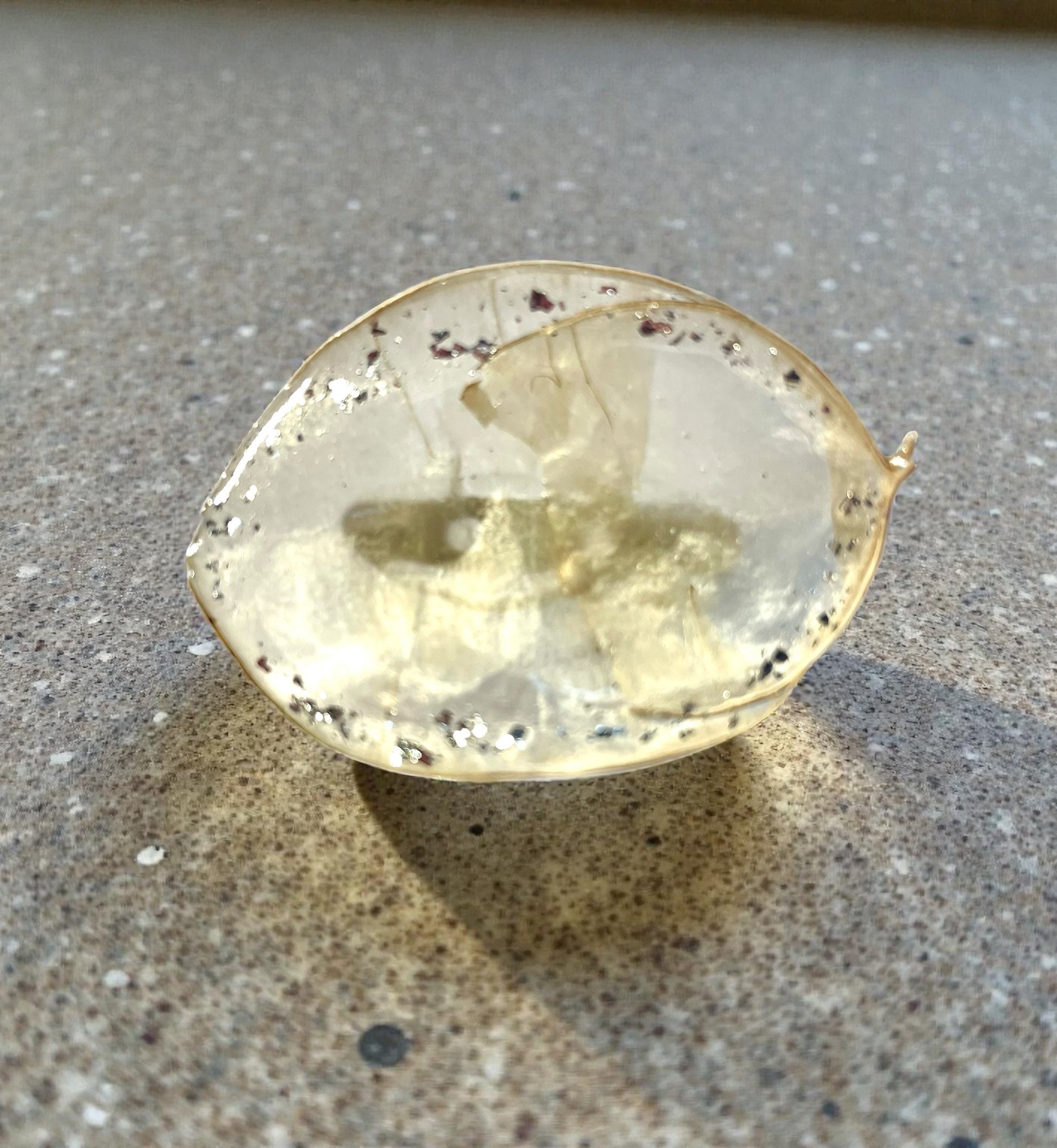 Broche Monnaie du Pape - Aux fleurs de Chloé Broche Monnaie du Pape Broche Broche