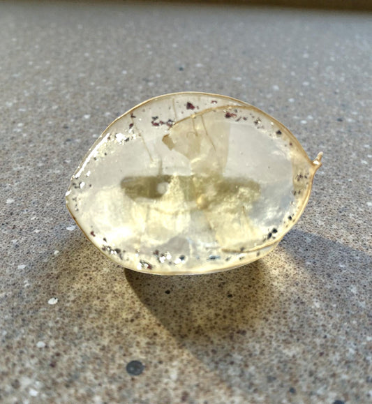 Broche Monnaie du Pape - Aux fleurs de Chloé Broche Monnaie du Pape Broche Broche