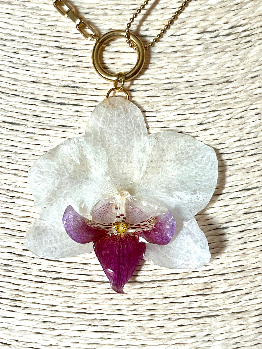 Collier Orchidée Blanche Éternelle – Fleur naturelle résinée