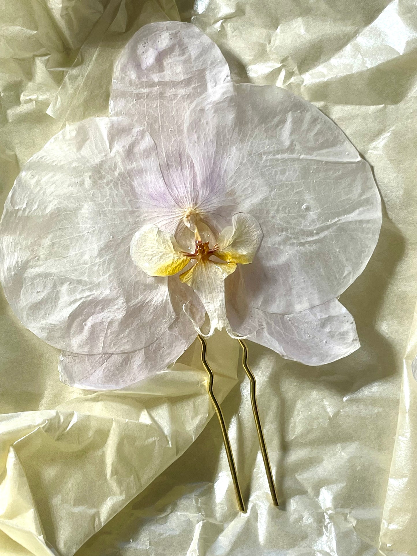 Épingles cheveux Orchidées