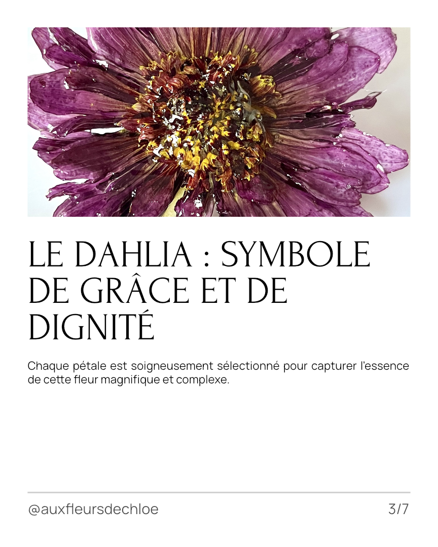 Broche Dahlia Violet en Fleur Naturelle – Bijou Floral 