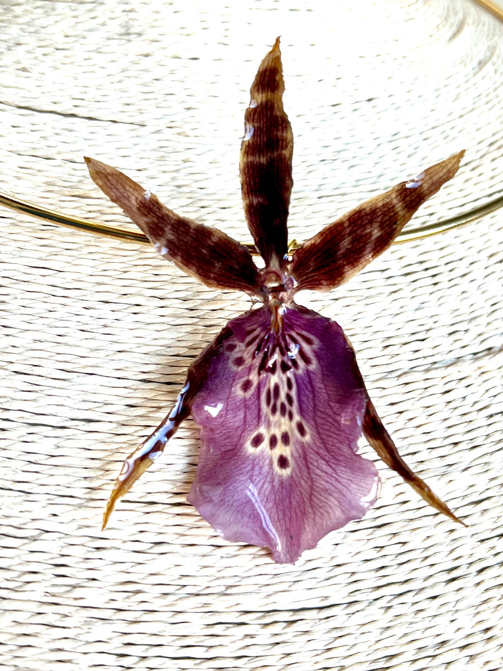 Collier Orchidée Araignée Éternelle – Fleur naturelle résinée
