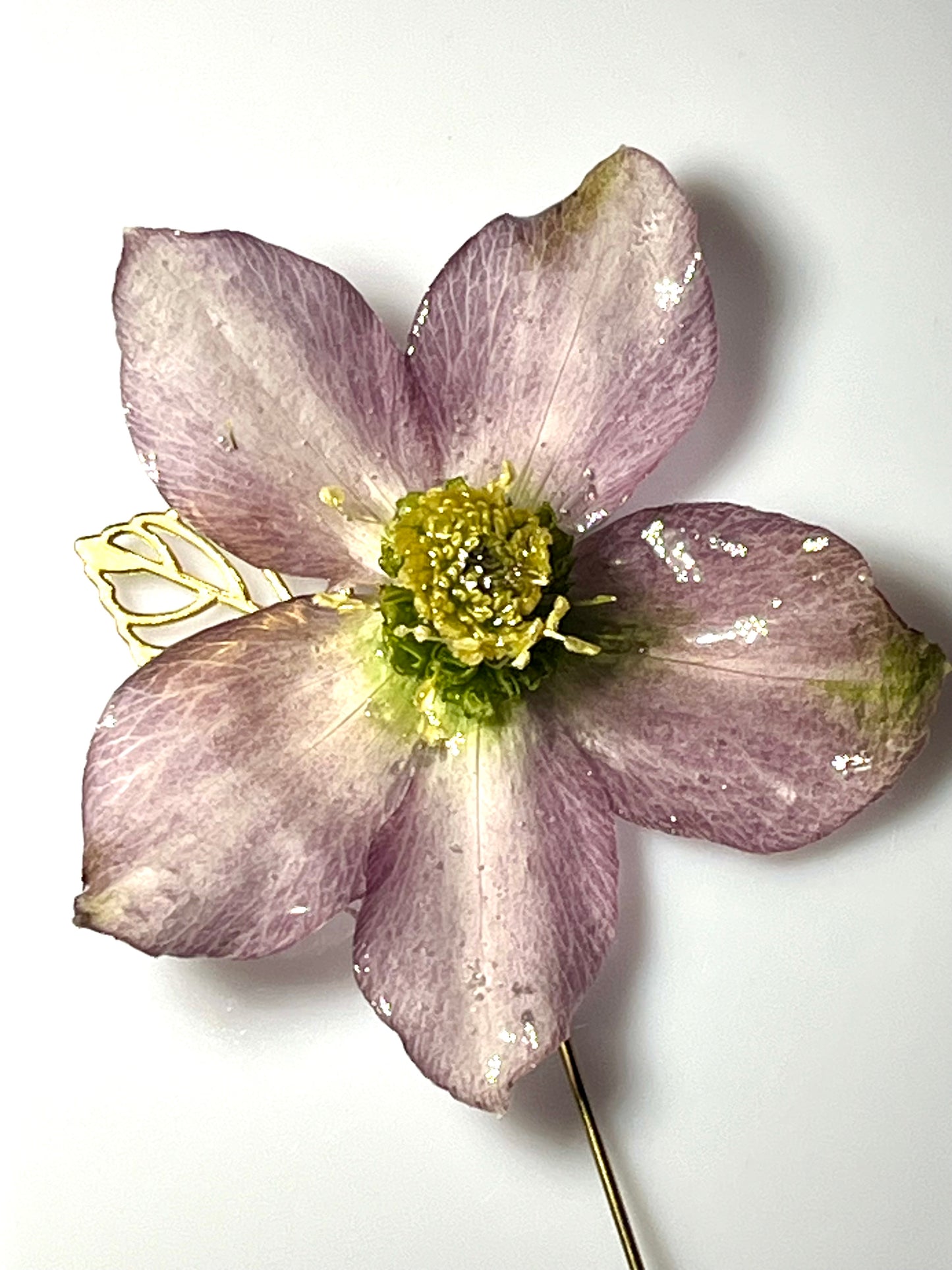 Épingle broche fleur d’Hellebore
