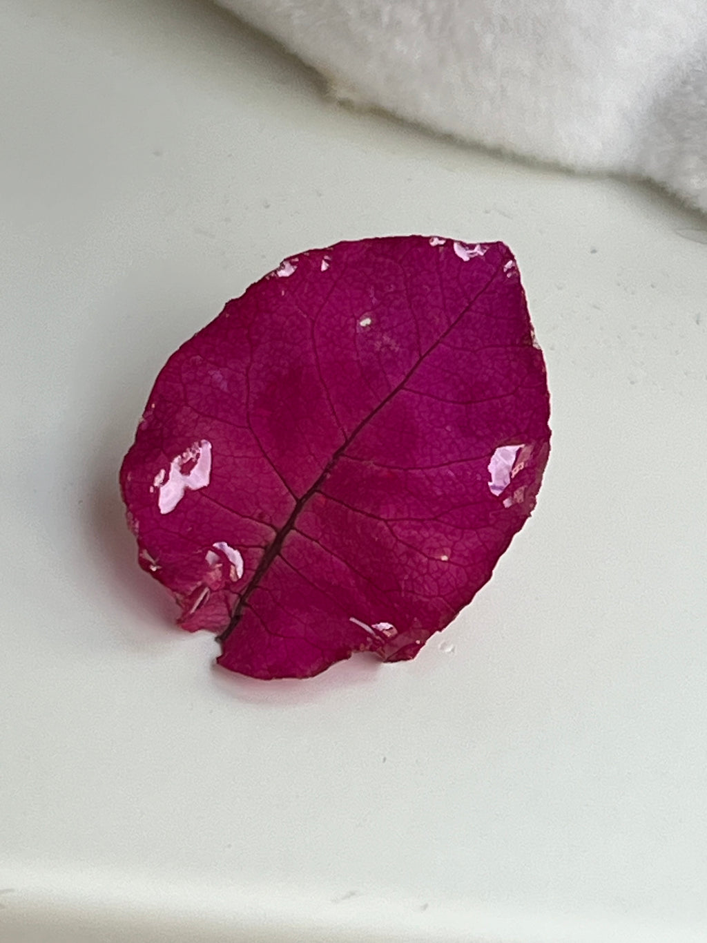 Bougainvillea Flower Pin