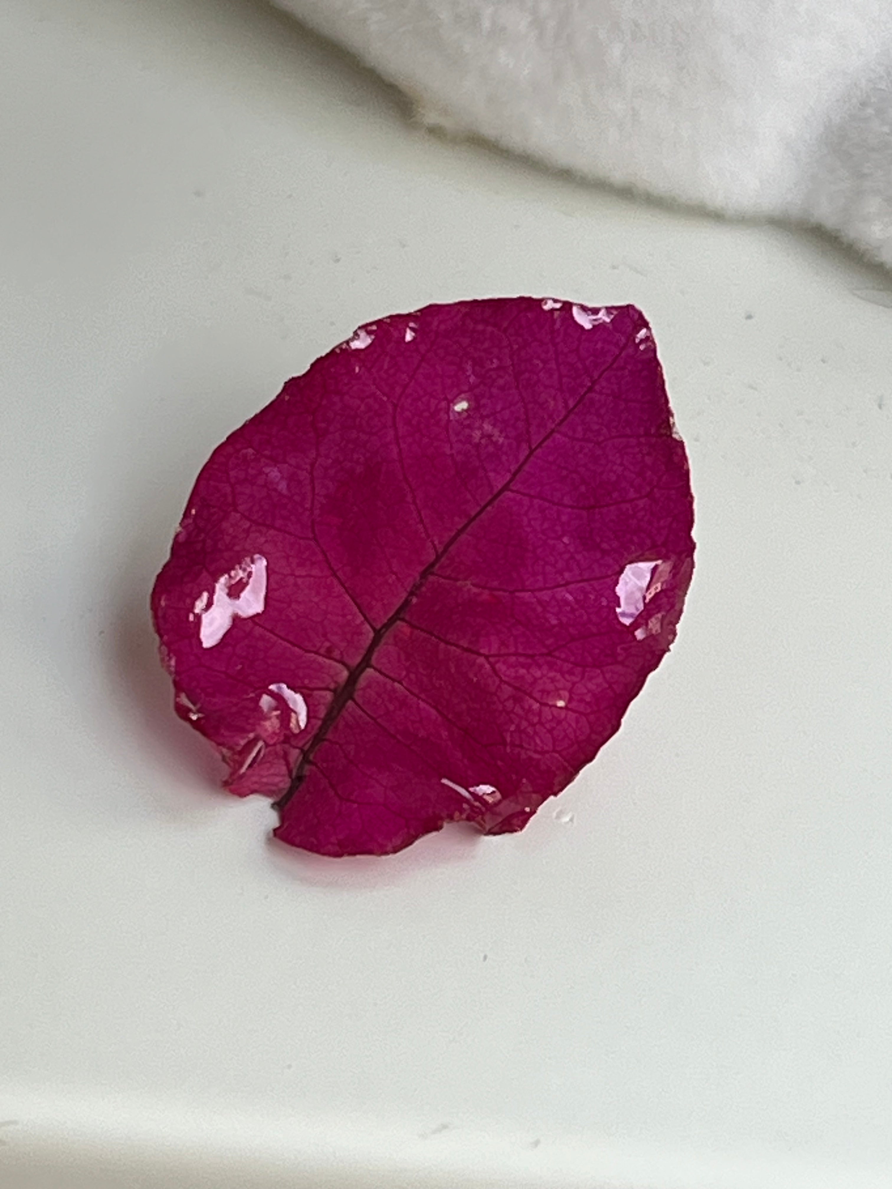 Bougainvillea Flower Pin