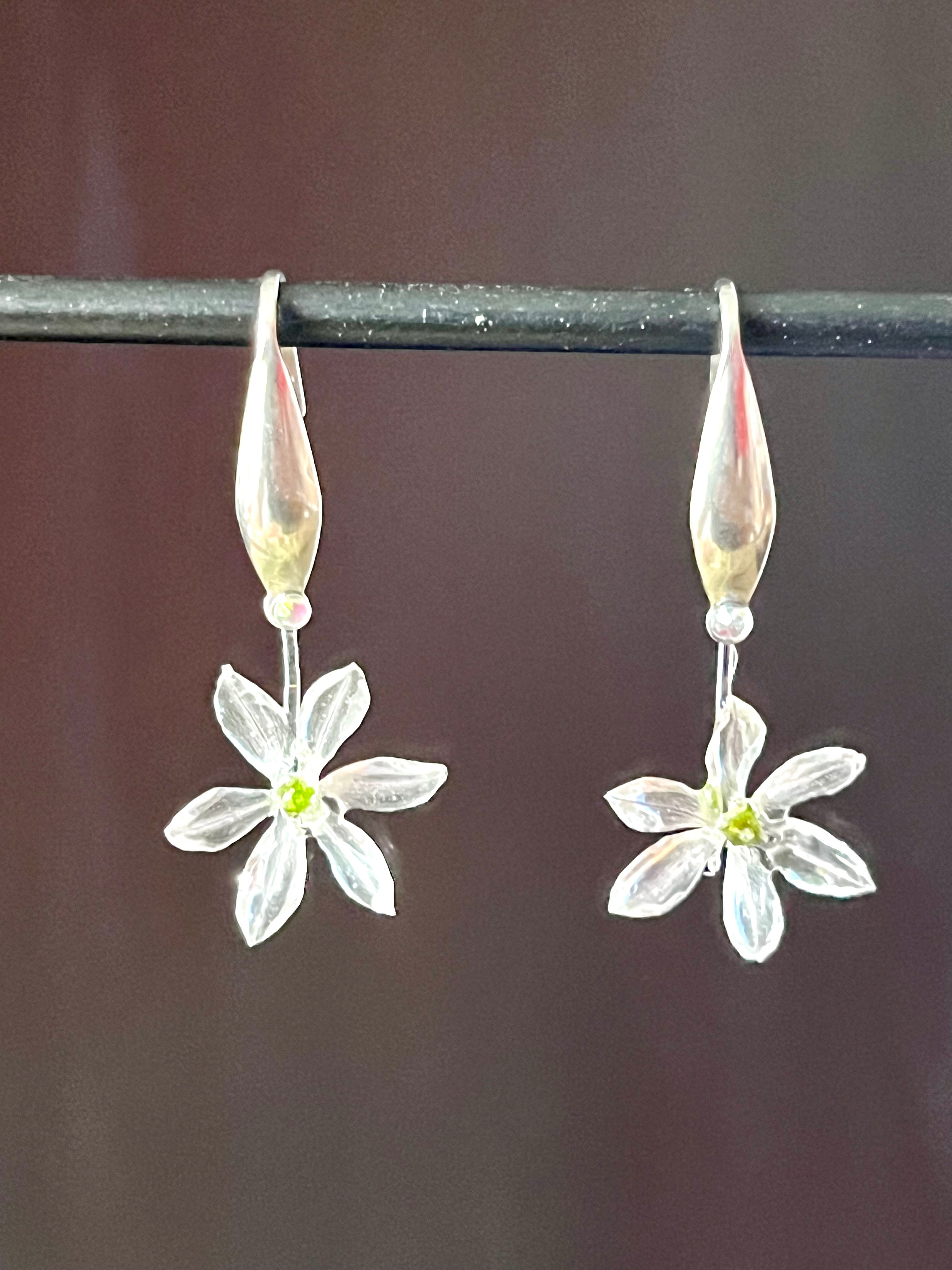 Natural Allium Flower Earrings

Botanical elegance and airy lightness