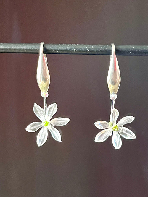 Natural Allium Flower Earrings

Botanical elegance and airy lightness