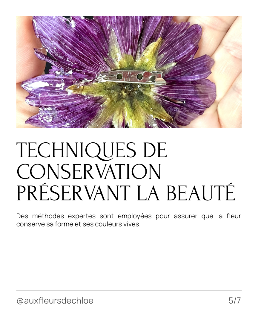 Broche Dahlia Violet en Fleur Naturelle – Bijou Floral 