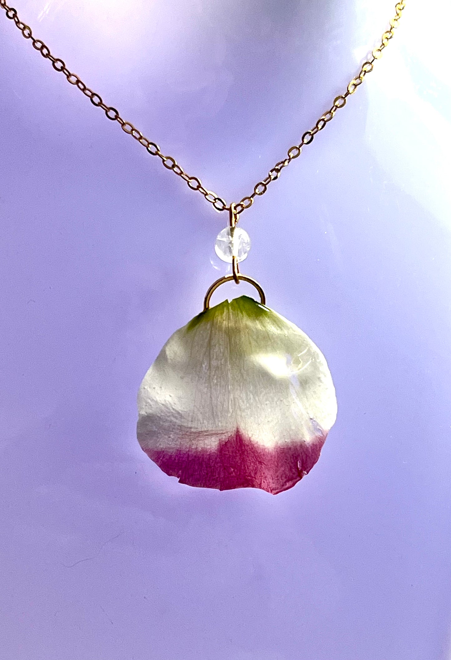 Collier pétale de Lisianthus & perle de citrine
