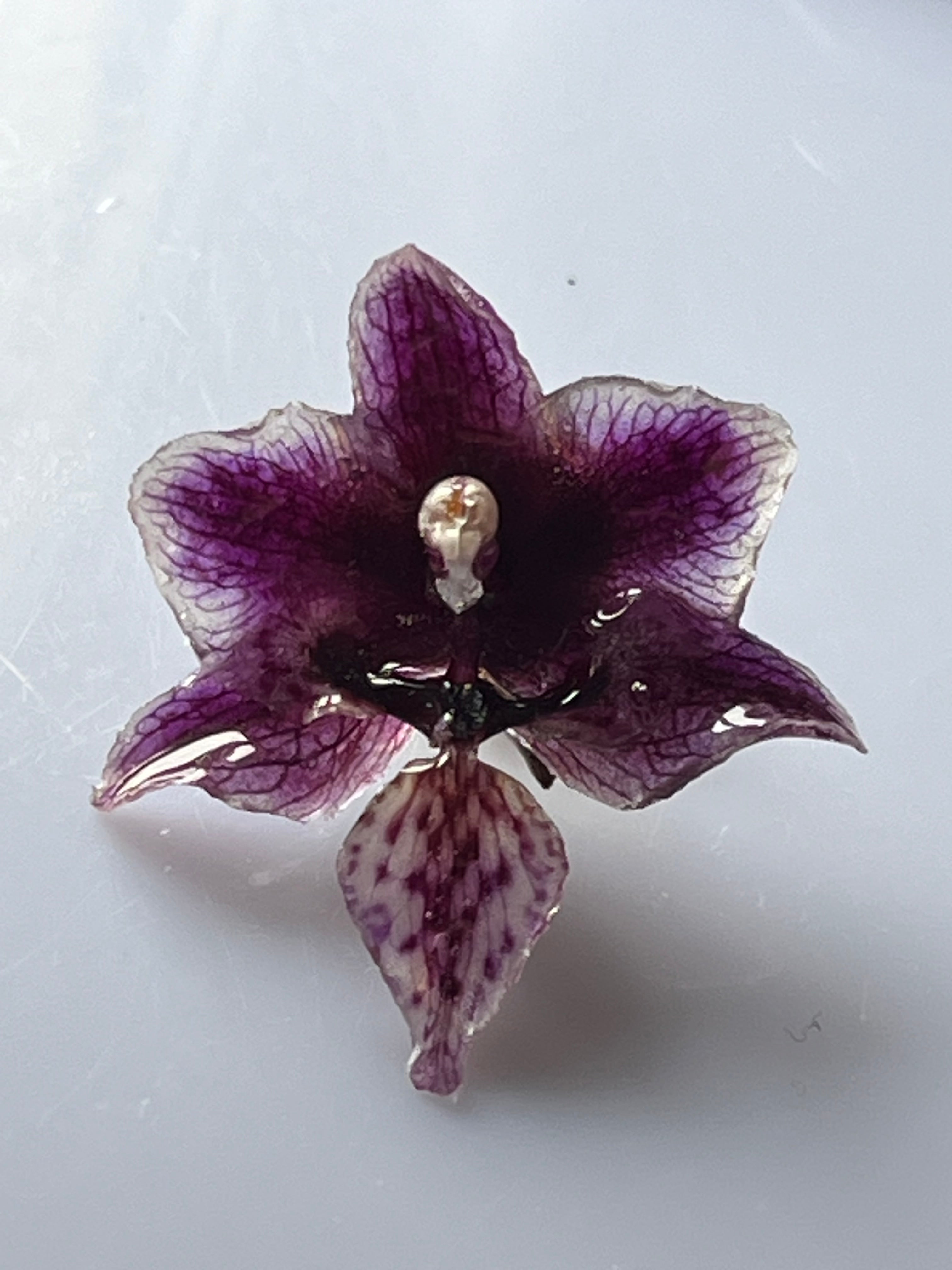 🌸 Pin’s Mini Orchidée Naturelle – Bijou Floral Unique
