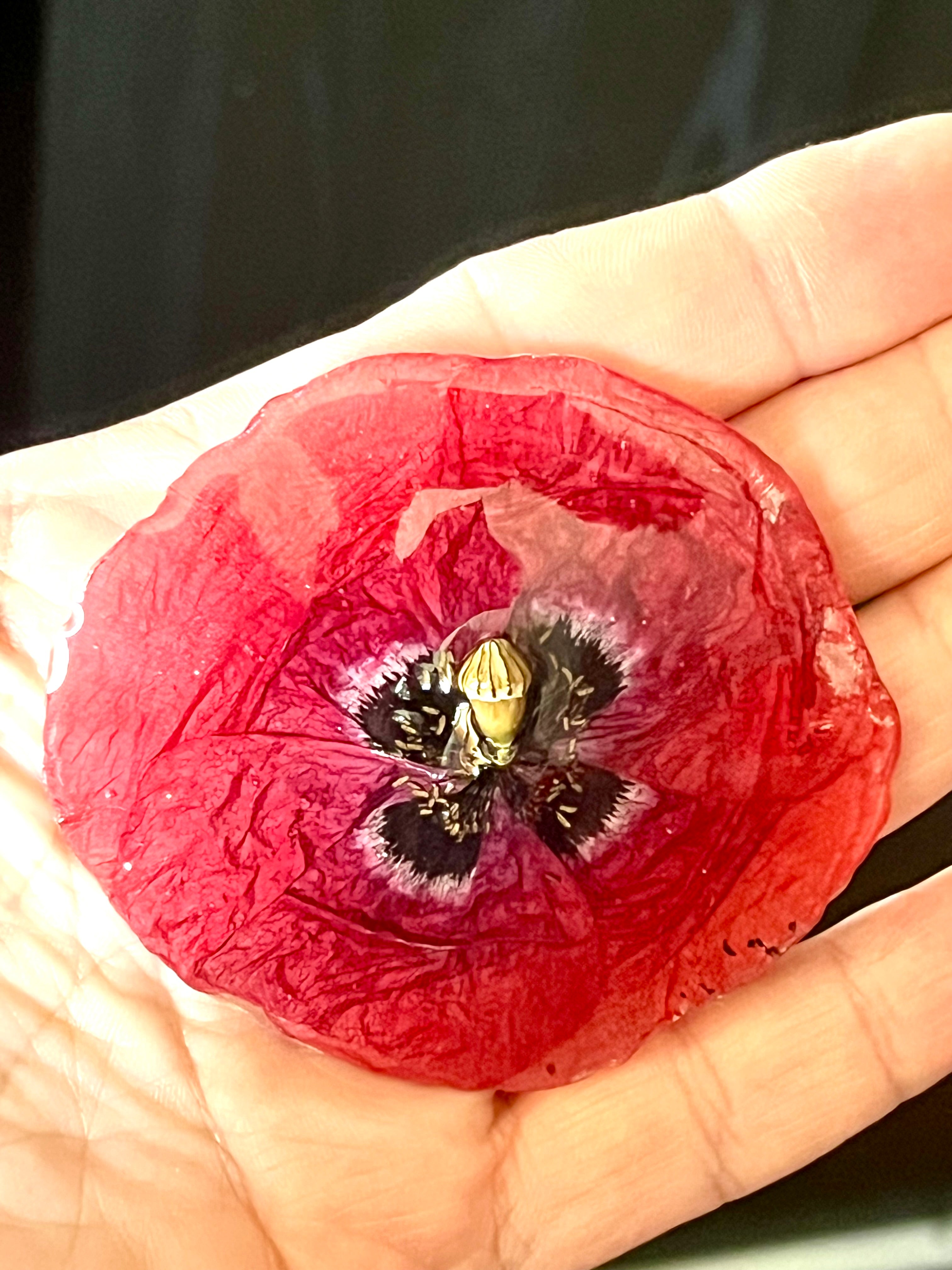 Broche Coquelicot Naturel