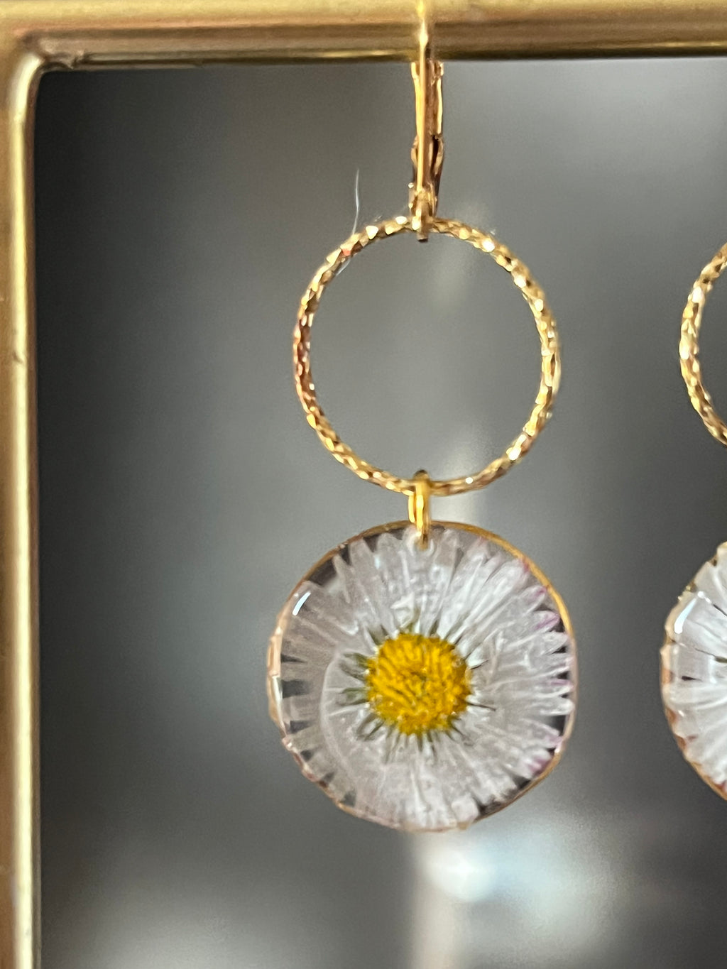 Boucles d’oreilles pâquerette naturelle – Fleur véritable en résine