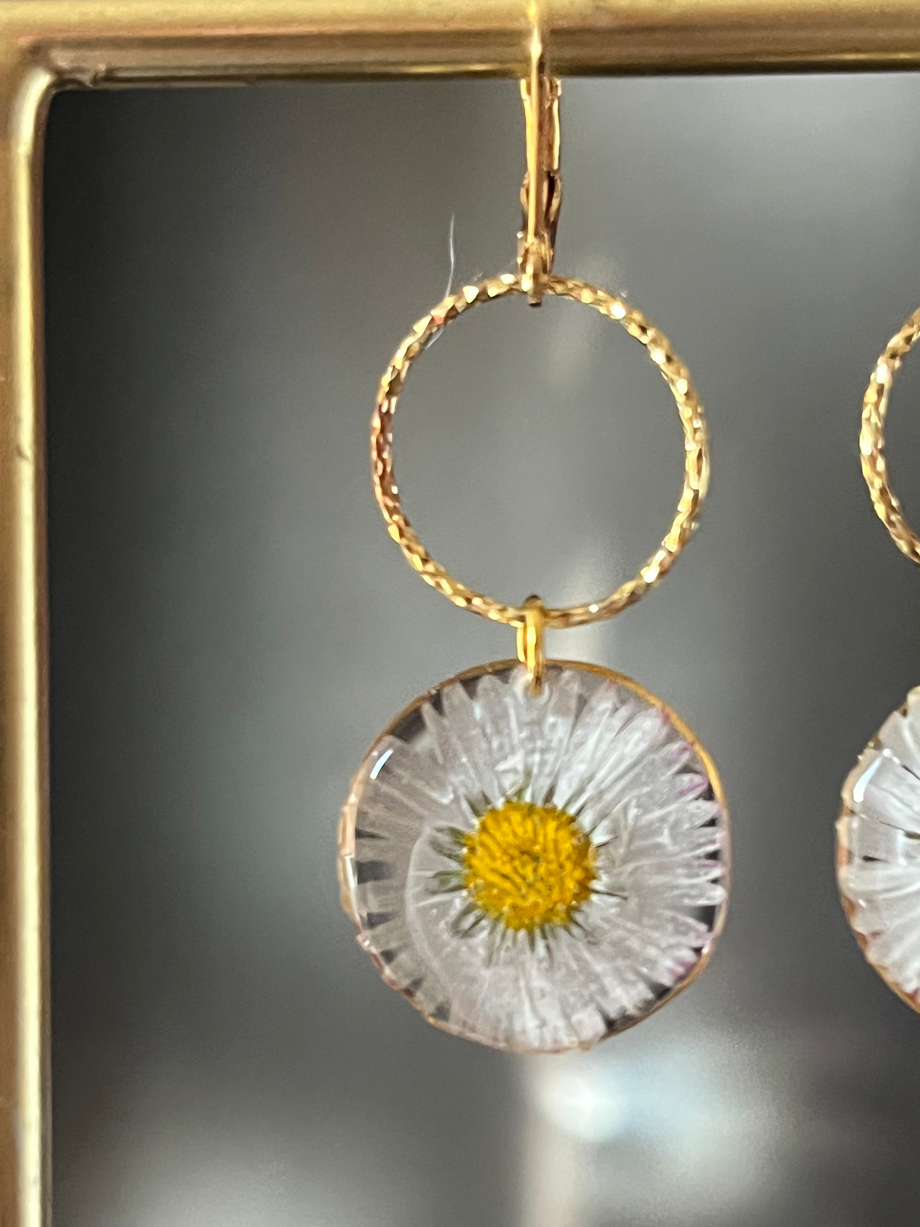 Boucles d’oreilles pâquerette naturelle – Fleur véritable en résine