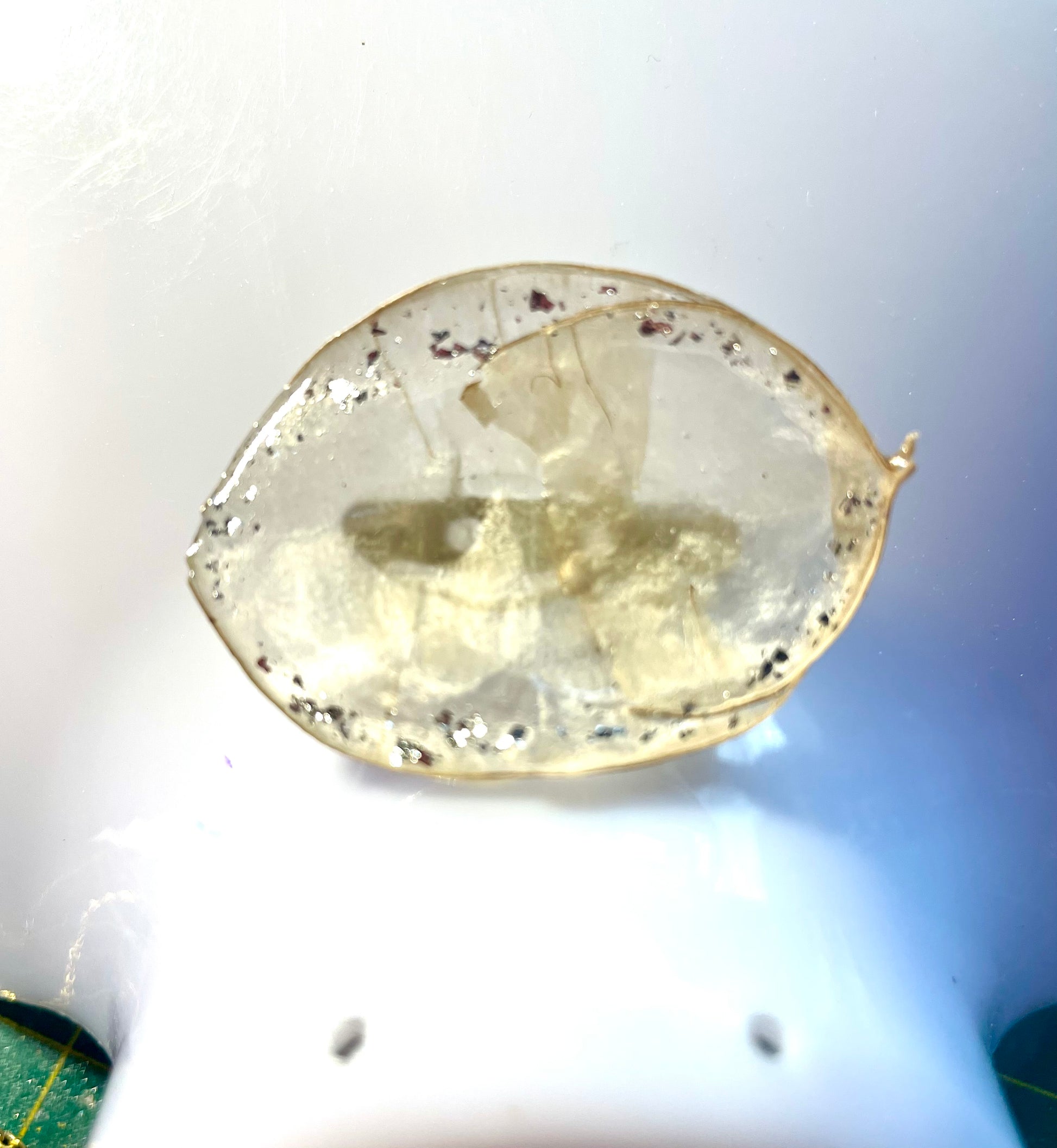 Broche Monnaie du Pape - Aux fleurs de Chloé Broche Monnaie du Pape Broche Broche