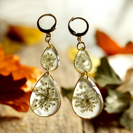 BO larmes fleurs de carotte sauvage