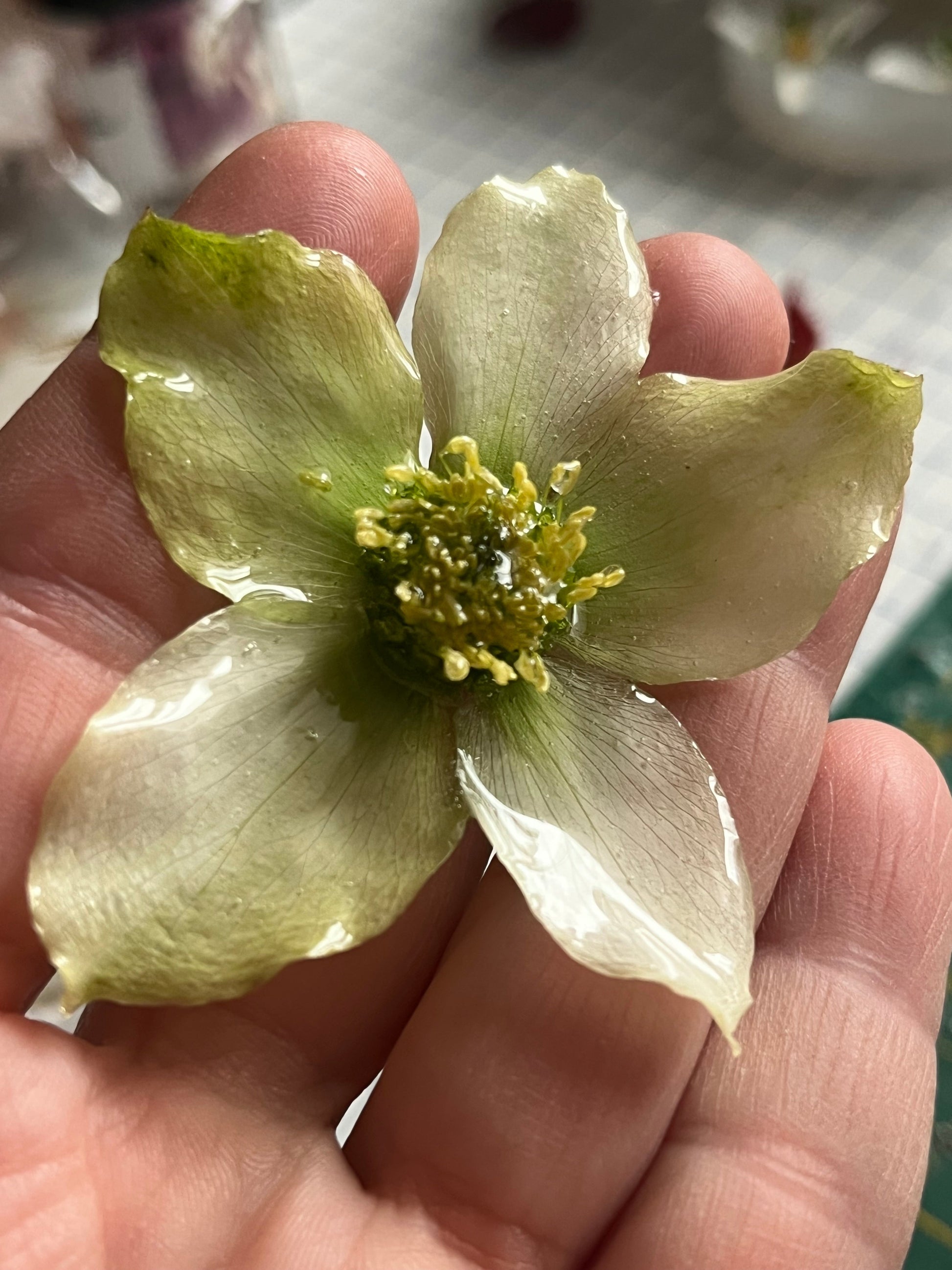 Collier Fleur d’Hellébore Aux fleurs de Chloé