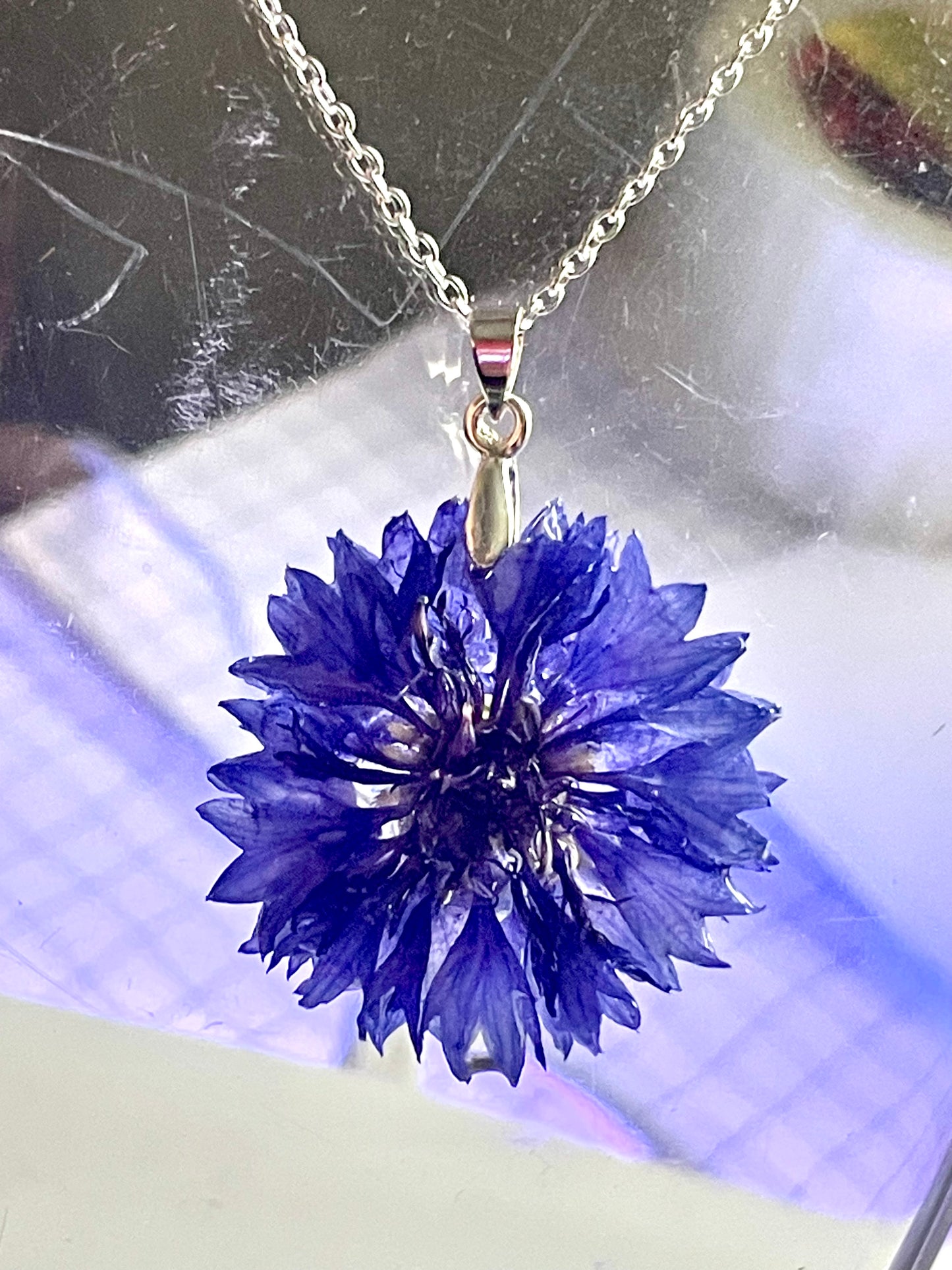 Collier fleur naturelle de Bleuet argent sterling 925
