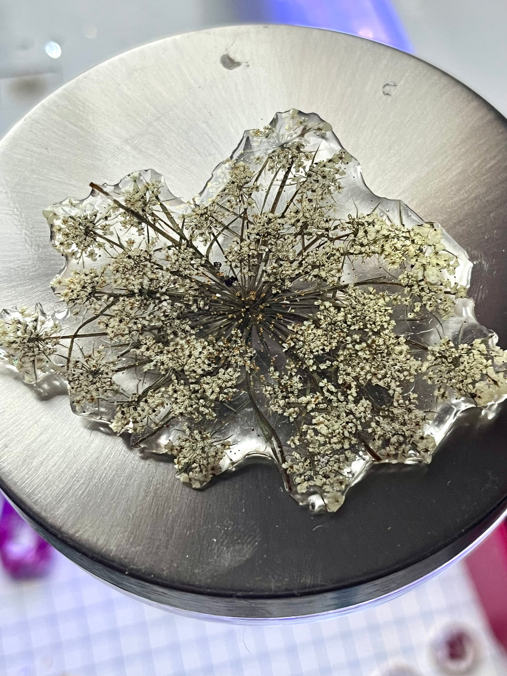 Broche Éclat des Prés - fleur naturelle Carotte sauvage