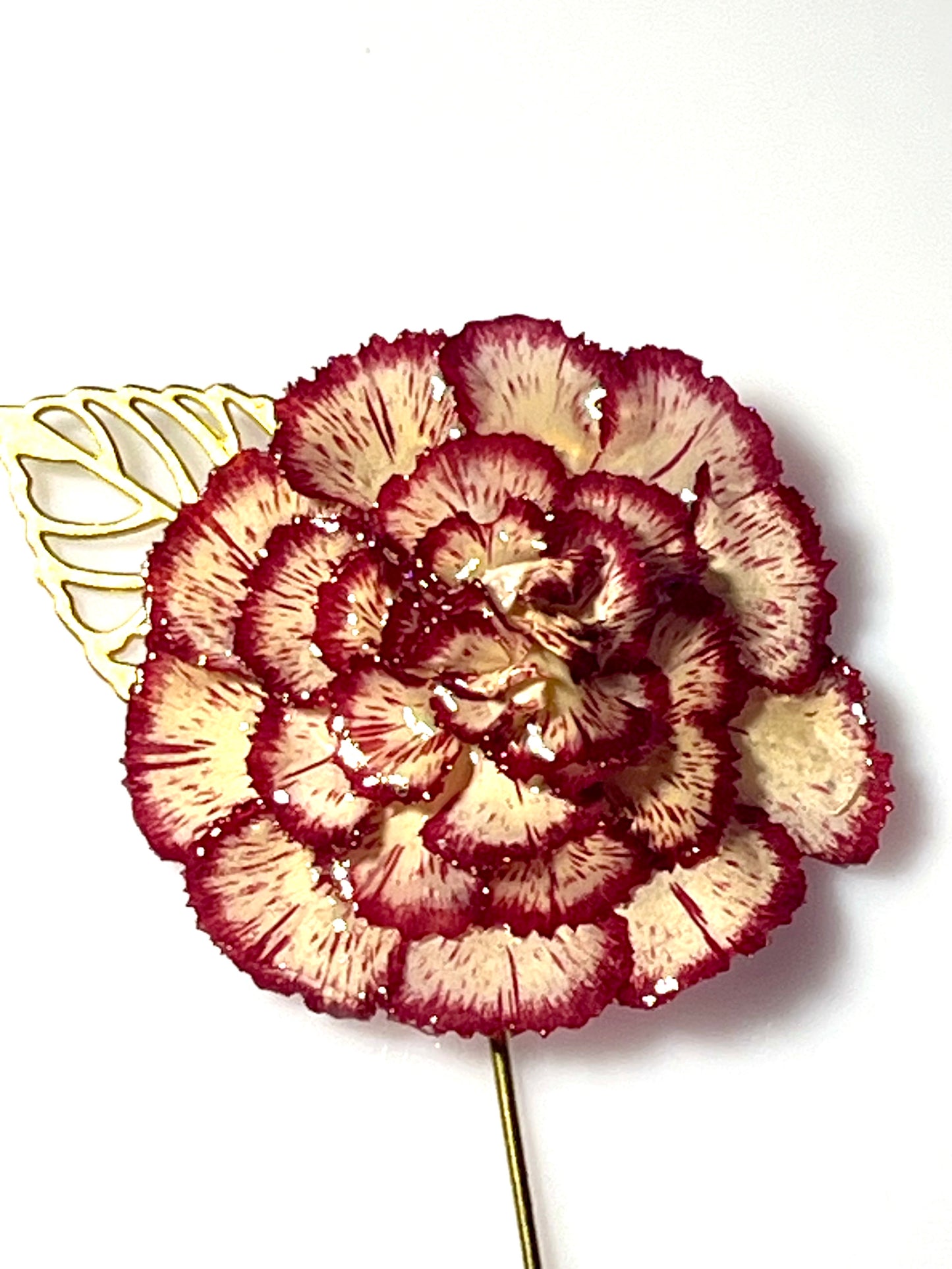 Épingle broche Oeillet bicolore