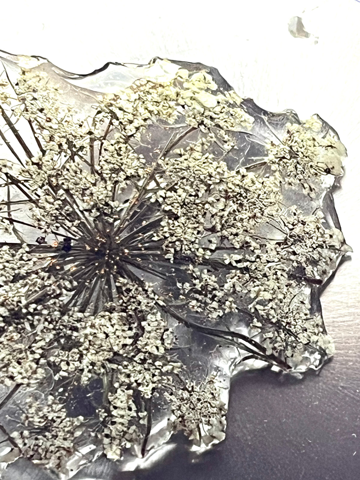 Broche Éclat des Prés - fleur naturelle Carotte sauvage