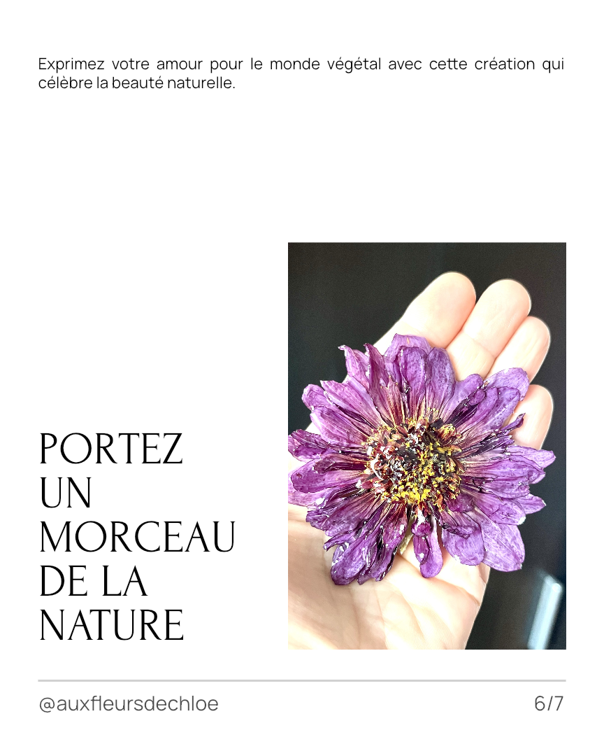 Broche Dahlia Violet en Fleur Naturelle – Bijou Floral 