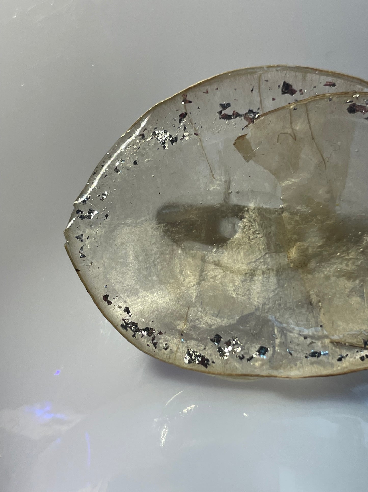 Broche Monnaie du Pape - Aux fleurs de Chloé Broche Monnaie du Pape Broche Broche