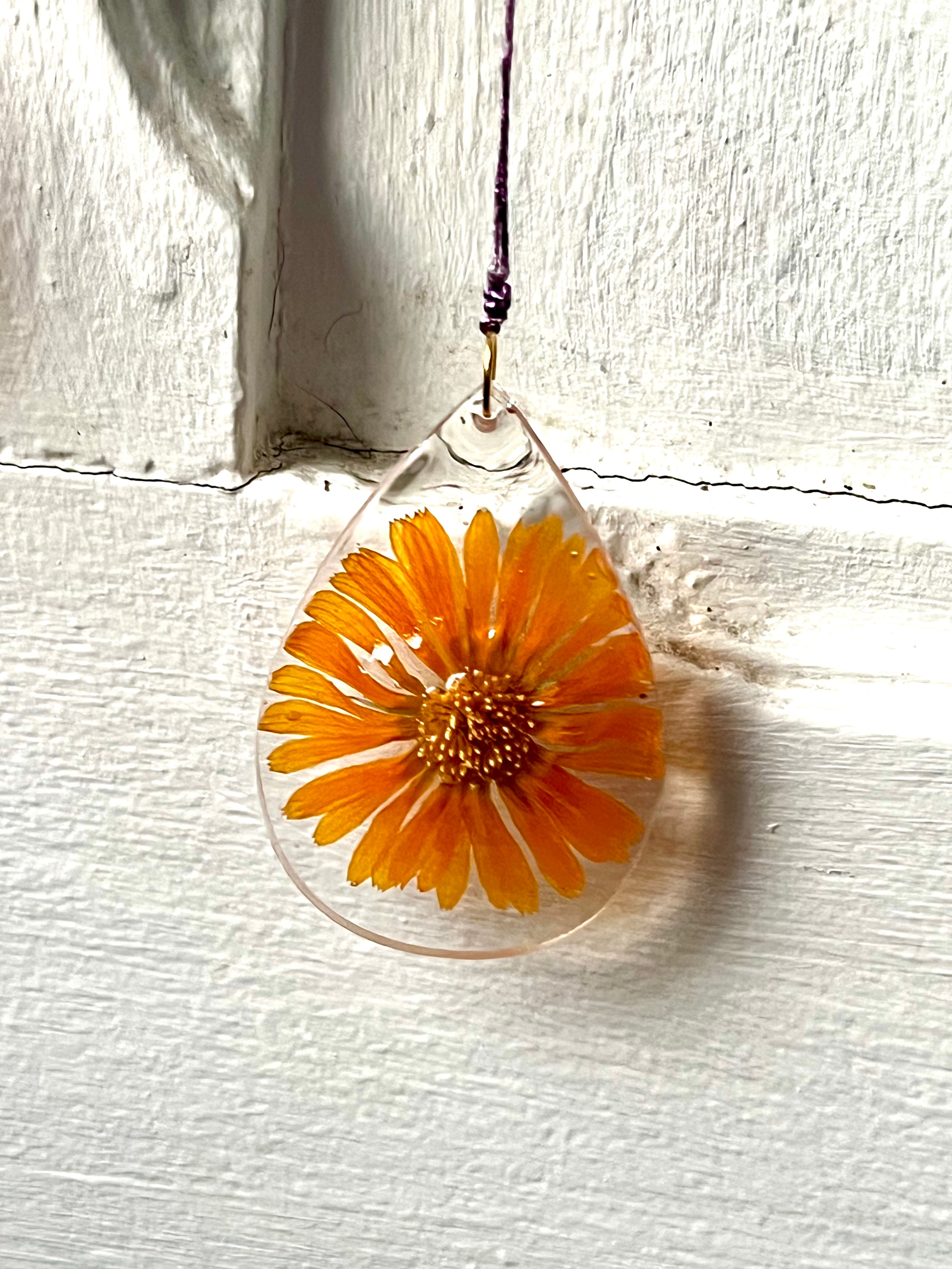 Driftwood and natural flower hanging decoration