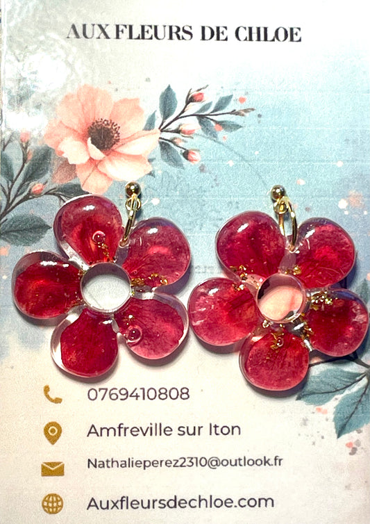 Pampilles fleurs pétales de géranium 🌺