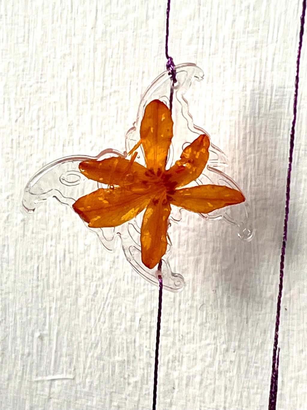 Driftwood and natural flower hanging decoration