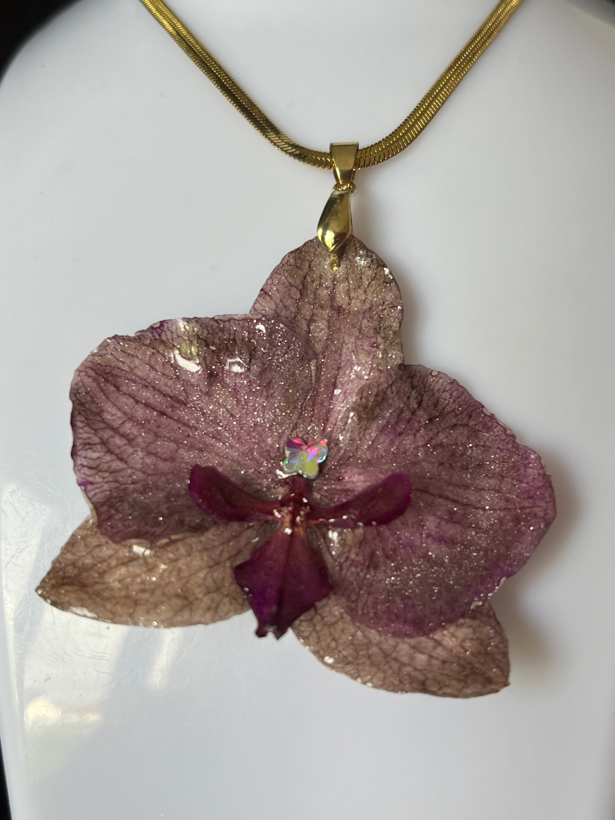 Collier fleur naturelle Orchidée éternelle