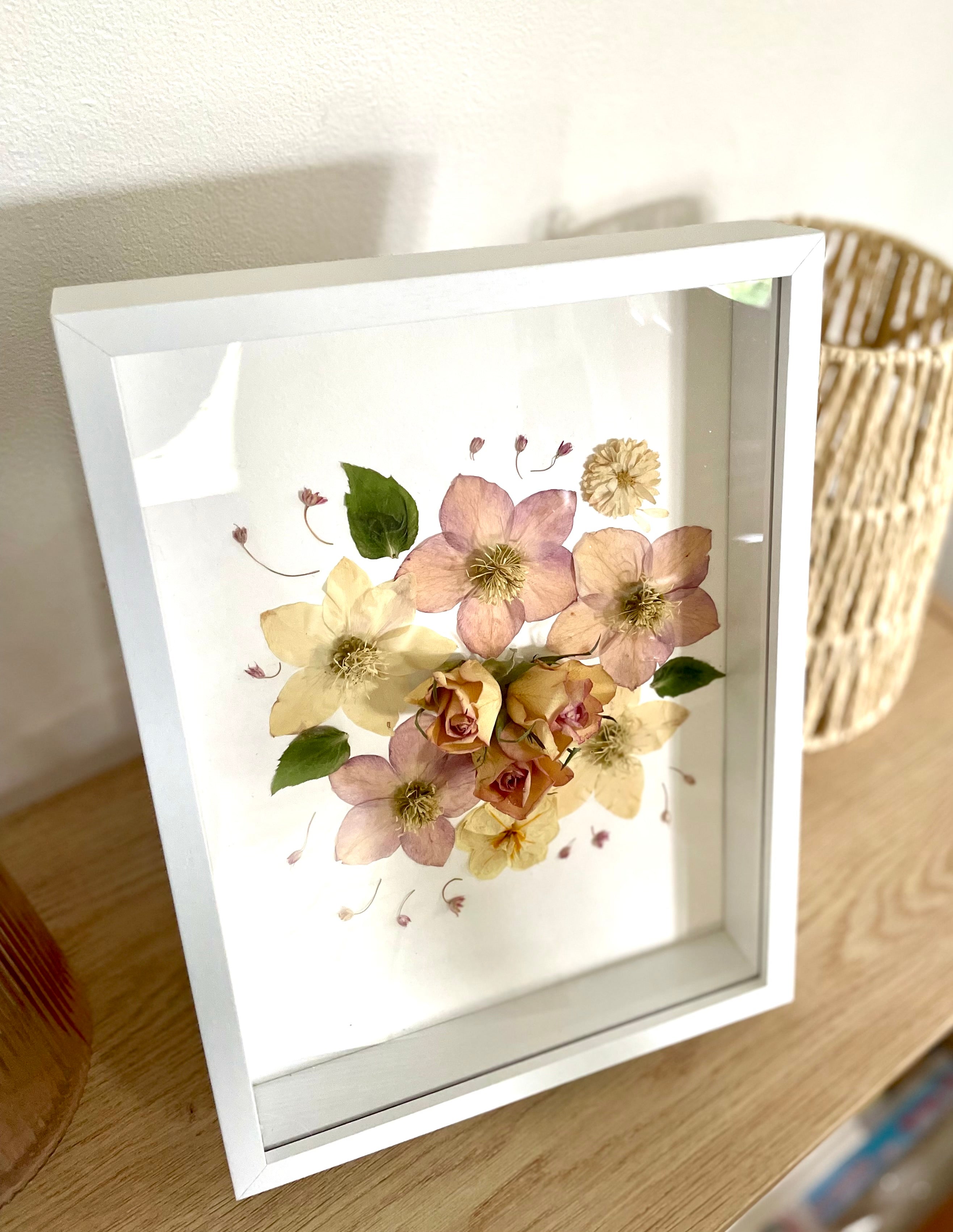 Herbier Hellébores - Aux fleurs de Chloé Herbier Hellébores Tableau herbier Tableau herbier