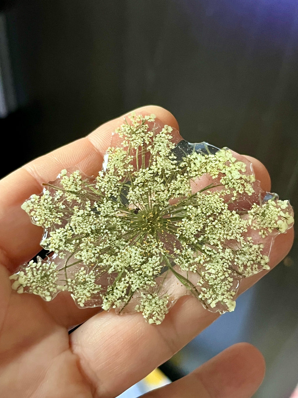 Broche Éclat des Prés - fleur naturelle Carotte sauvage