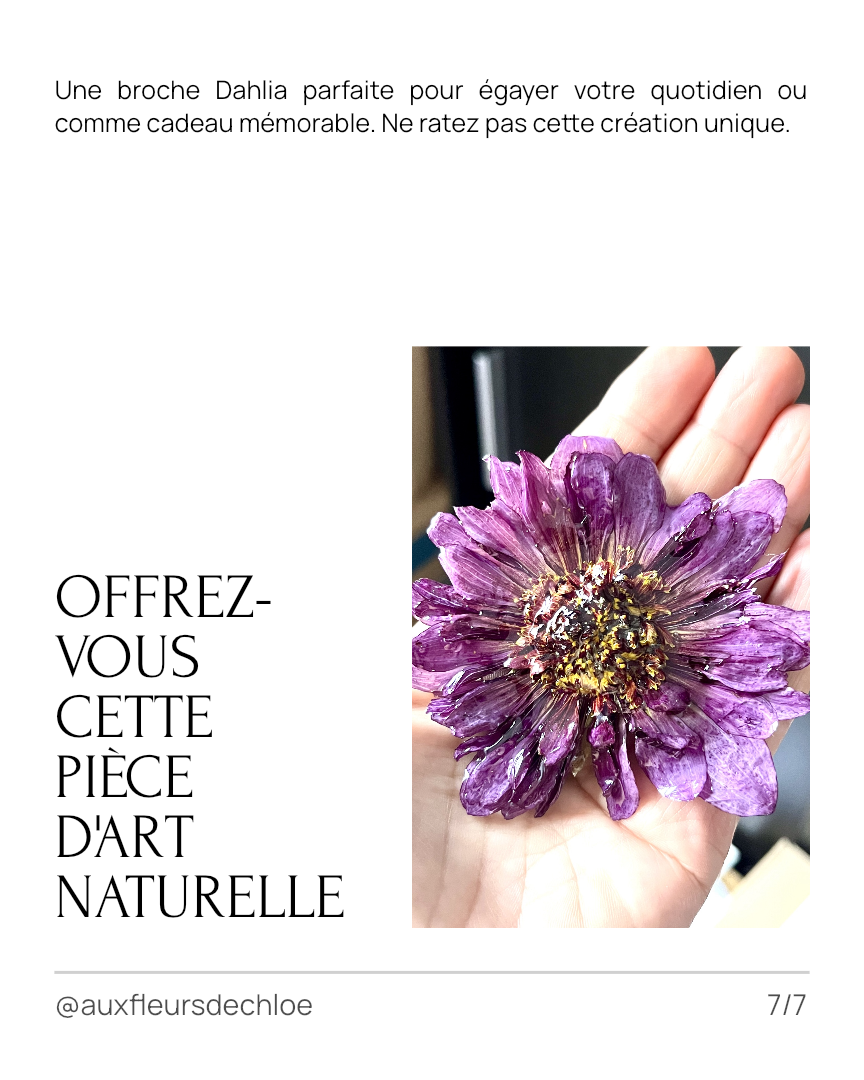 Broche Dahlia Violet en Fleur Naturelle – Bijou Floral 