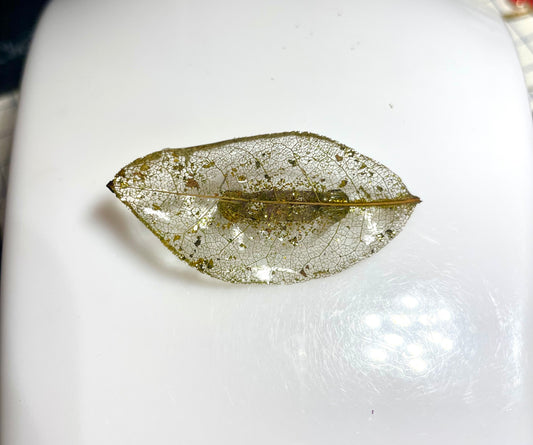 Broche de dentelle végétale de Magnolia