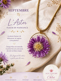 Collier éclat de Septembre Aster